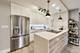 88 W Schiller Unit 302L, Chicago, IL 60610