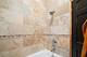 4102 S Cottage Grove Unit 3S, Chicago, IL 60653