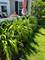 640 Schumann, Woodstock, IL 60098