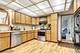 632 N Locust, Frankfort, IL 60423