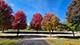 3021 Seekonk, Elgin, IL 60124
