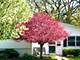 173 Pomeroy, Crystal Lake, IL 60014