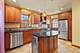 3838 Johnson, Western Springs, IL 60558