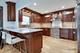 1073 Busse, Park Ridge, IL 60068