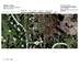 Lots 15-17 Corrine, Crystal Lake, IL 60014