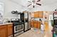1727 N Menard, Chicago, IL 60639