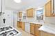 419 N Maple, Mount Prospect, IL 60056