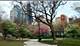 899 S Plymouth Unit 1403, Chicago, IL 60605
