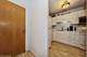 211 E Ohio Unit 2017, Chicago, IL 60611