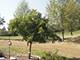 10666 Golf, Orland Park, IL 60462