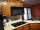 10666 Golf, Orland Park, IL 60462