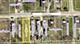 2141 California, Lockport, IL 60441