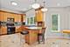 20659 Abbey, Frankfort, IL 60423