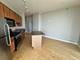 1600 S Indiana Unit 1503, Chicago, IL 60616