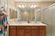 255 South Unit 17, Oak Park, IL 60302