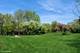 307 Anne, Prospect Heights, IL 60070