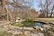 4313 Elm, Lyons, IL 60534