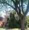 8037 S Princeton, Chicago, IL 60620