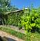 8037 S Princeton, Chicago, IL 60620