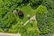 144 Algonquin, Barrington Hills, IL 60010