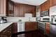 33 W Ontario Unit 36D, Chicago, IL 60654