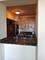 1160 S Michigan Unit 1104, Chicago, IL 60605