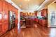 2328 Fescue, Naperville, IL 60564