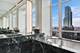 800 N Michigan Unit 60PHN, Chicago, IL 60611