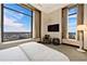 800 N Michigan Unit 60PHN, Chicago, IL 60611