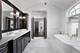1017 Royal Bombay, Naperville, IL 60563