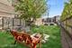 1943 N Whipple, Chicago, IL 60647