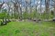 3309 York, Oak Brook, IL 60523