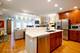 1132 W Wolfram Unit 1, Chicago, IL 60657