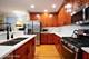 1132 W Wolfram Unit 1, Chicago, IL 60657