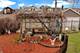 3625 W Eddy, Chicago, IL 60618