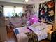 880 E Old Willow Unit 280, Prospect Heights, IL 60070