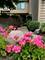 982 Longmeadow Unit 1025, Lake Barrington, IL 60010