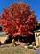 982 Longmeadow Unit 1025, Lake Barrington, IL 60010