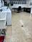 930 Washington Unit 1B, Evanston, IL 60202