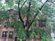 4615 N Hamilton Unit 2, Chicago, IL 60625