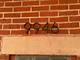 9944 S Green, Chicago, IL 60643