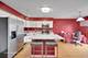 1143 Orleans Unit 0, Mundelein, IL 60060