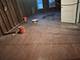 7517 S Chappel, Chicago, IL 60649