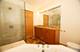 4312 S St Lawrence Unit 1, Chicago, IL 60653