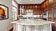 2008 S Calumet Unit A, Chicago, IL 60616