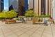 222 N Columbus Unit 5001, Chicago, IL 60610
