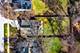 11 Cumnor, Westmont, IL 60559