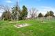 4102 Barry, Oak Forest, IL 60452