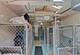 4102 Barry, Oak Forest, IL 60452