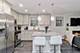 1342 W Webster, Chicago, IL 60614
